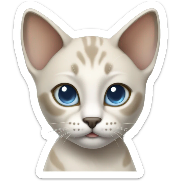 Thai breed adult cat with a light cream-brown body, dark gray nose and face, ears, and paws. sharp ears, and striking light blue eyes  sticker