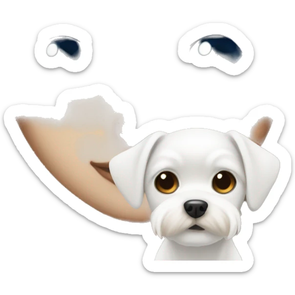 Blue eye Girl with white maltese dog with brown eyes  sticker