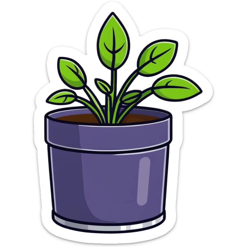 Young Plectranthus Verticillatus sprouts with perfectly circular penny-shaped leaves in a modern metallic planter sticker