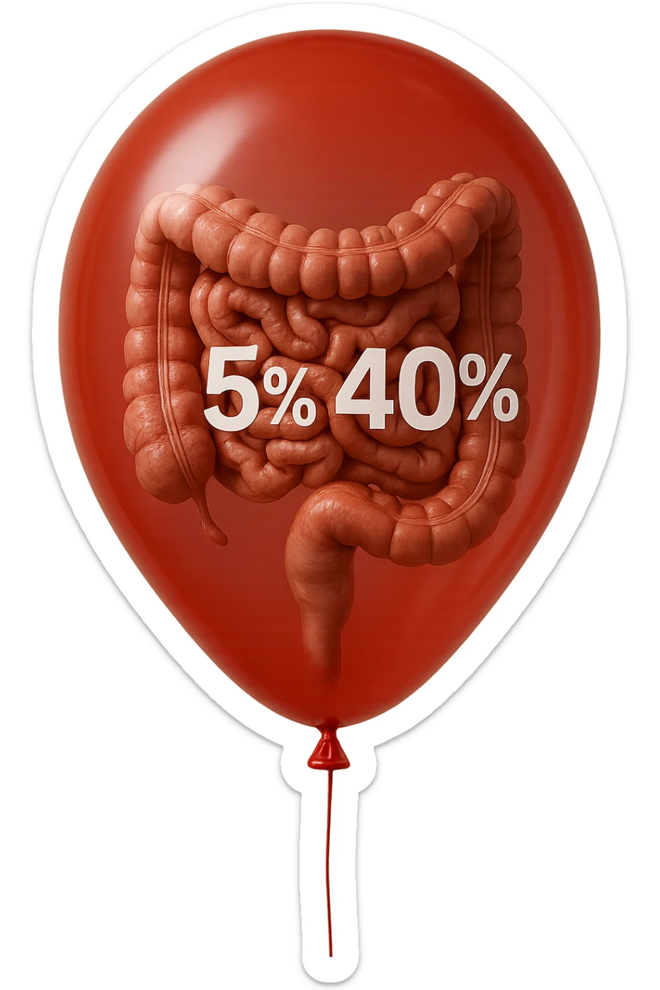 intestino umano anatomico chiuso in un palloncino rosso con la scritta 5% e 40% dentro insieme all'intestino, iperrealistico 4k sticker