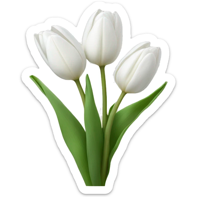 White tulips  sticker