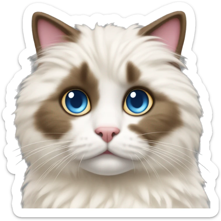 cat with blue eyes, white fur on the belly and eyes and beige fur on the rest of the body accompanied by brown stripes, half black half pink snout sticker