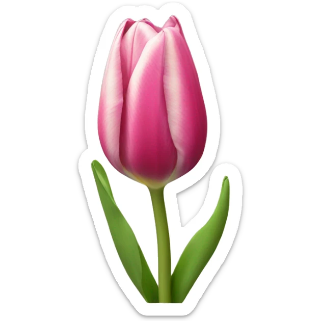 Tulip  sticker