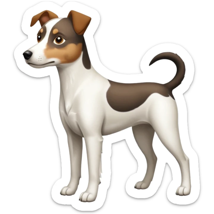 a full body large white parson russell looking dog the size of a kelpie with light brown ears and a light brown patch on one eye and a large snout sticker