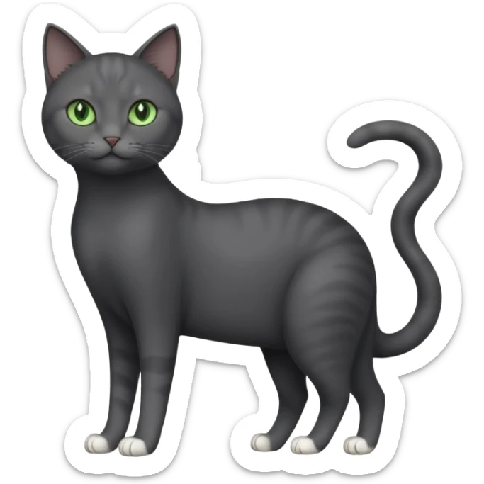 full body view of beautiful female dark grey cat with green eyes, white toes and white patch on chest sticker