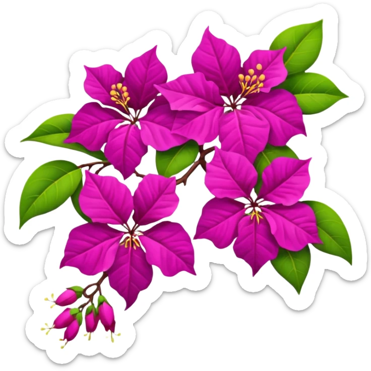 Bougainvillea sticker