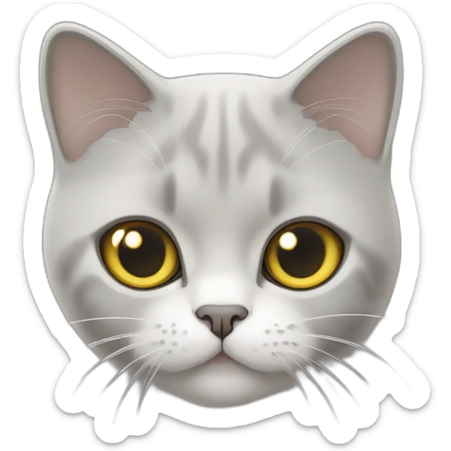 A british shorthair cat in light grey, white and beige with a white bless and with yellow eyes sticker