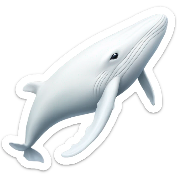 white whale , underside sticker