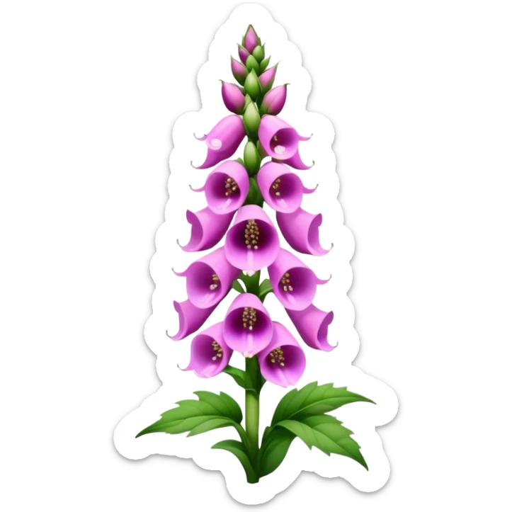foxglove  sticker