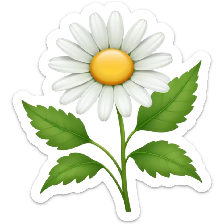 Cinematic Realistic Daisy Emoji, Cheerful and pure, with bright white petals surrounding a sunny yellow center, standing proudly atop a slender green stem. The soft, vibrant petals seem to radiate positivity, while a few green leaves frame the delicate flower. Soft glowing outline, capturing the essence of simplicity, innocence, and happiness in a single daisy. sticker