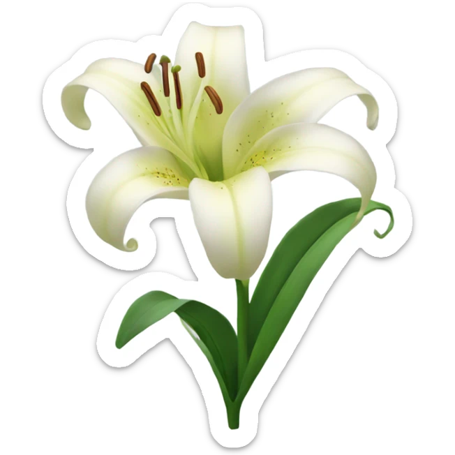 Lily flower  sticker