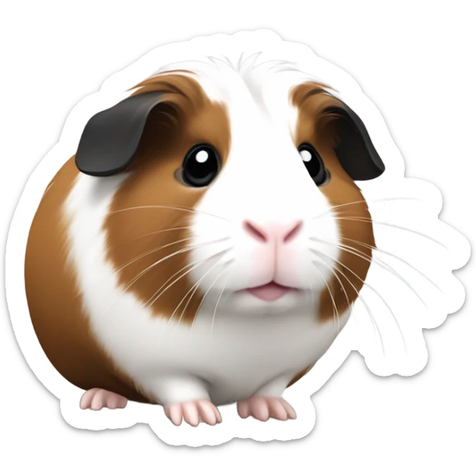 guinea pig sticker