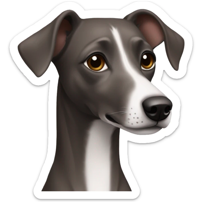 Dark Grey brown with no other color Formosa mountain dog and Italian greyhound mix no white on the face, dark brown eyes, ears up sticker