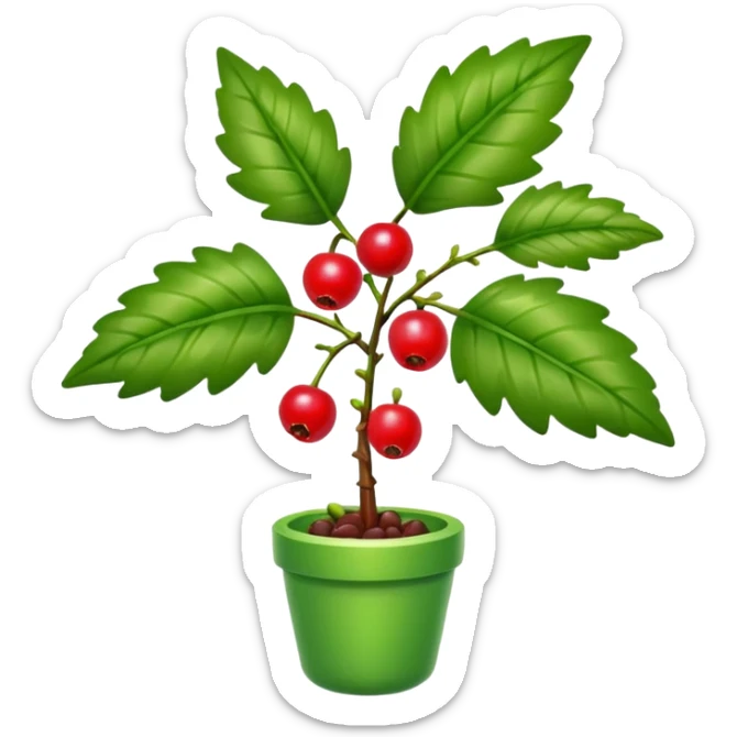 Houx plante sticker