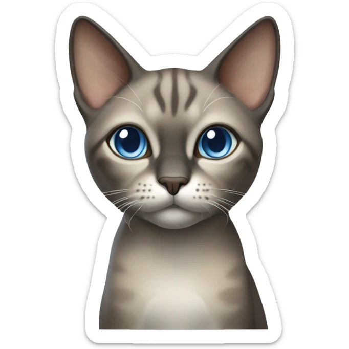 Thai breed realistic adult cat with a light cream-brown body, full dark gray face, ears, and paws. Short fur, sharp ears, striking light blue eyes  sticker