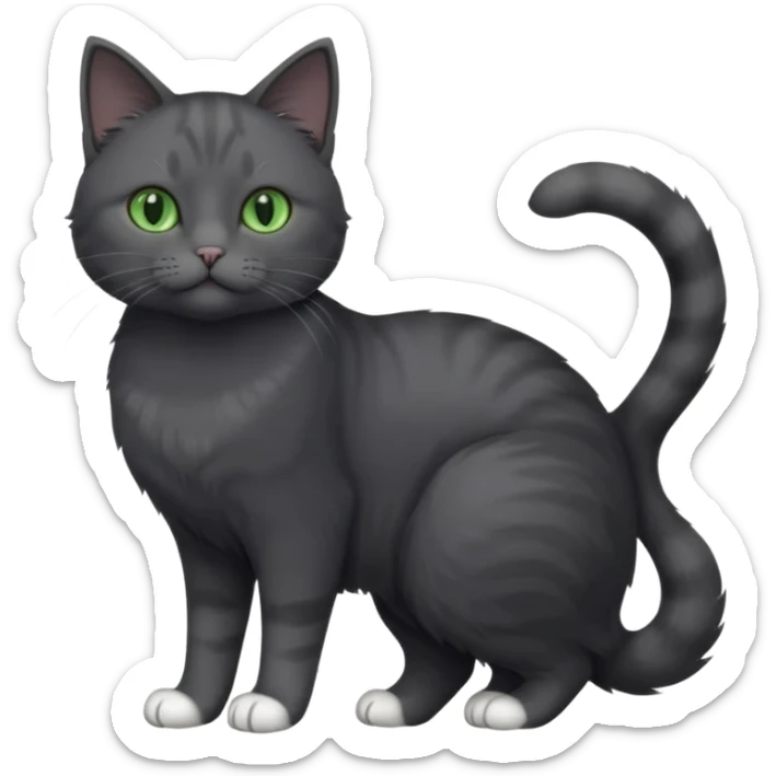 full body view of beautiful female solid dark grey cat with green eyes, white toes/paws and white patch on her chest sticker