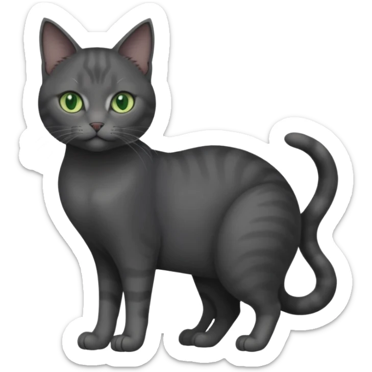 full body view of beautiful female dark grey cat with green eyes, white toes and white patch on chest sticker