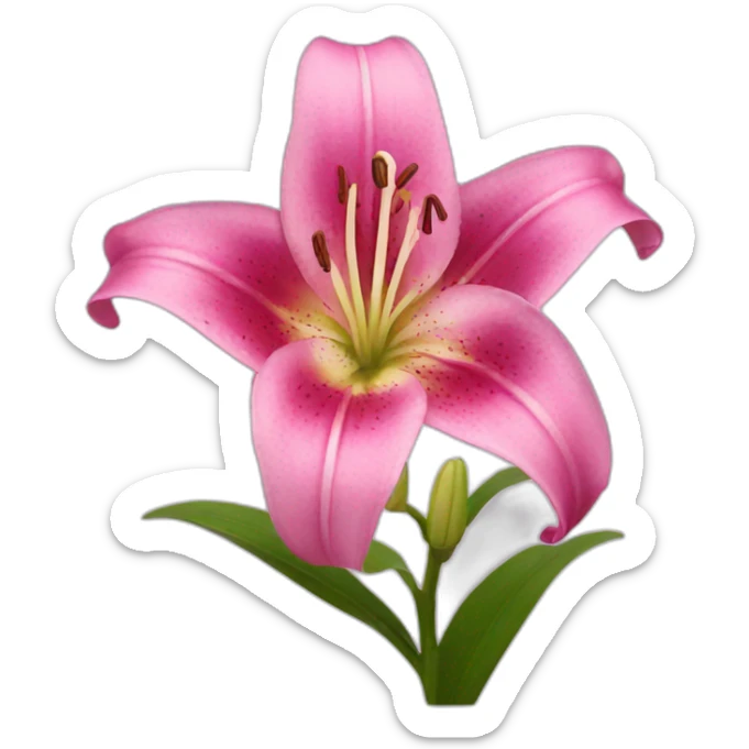 pink lily sticker