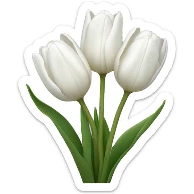 white tulips sticker