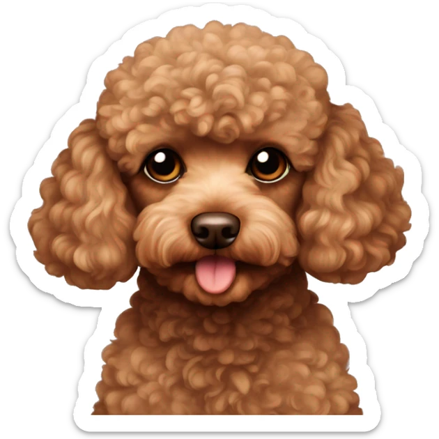 Brown toy poodle laying sticker