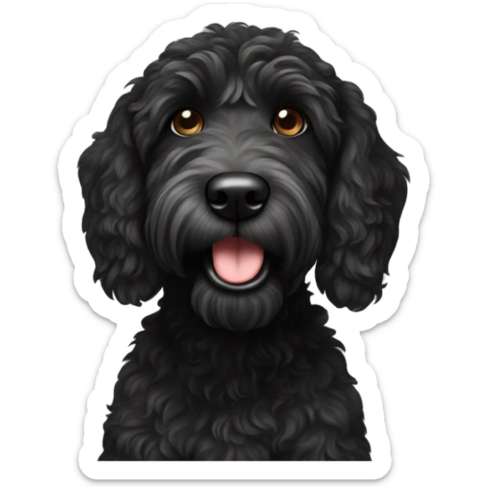 black labradoodle  sticker