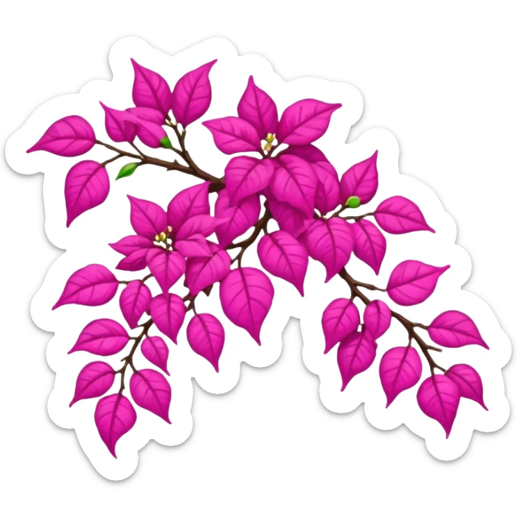 Bougainvillea sticker