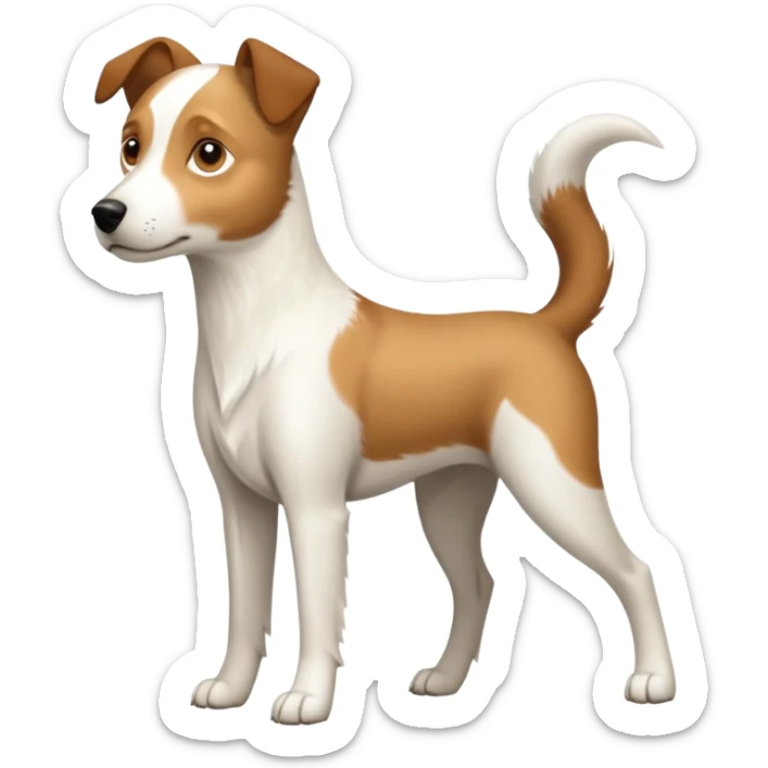 a full body white parson russell looking dog the size of a kelpie with light brown ears and a light brown patch on one eye and a large snout sticker