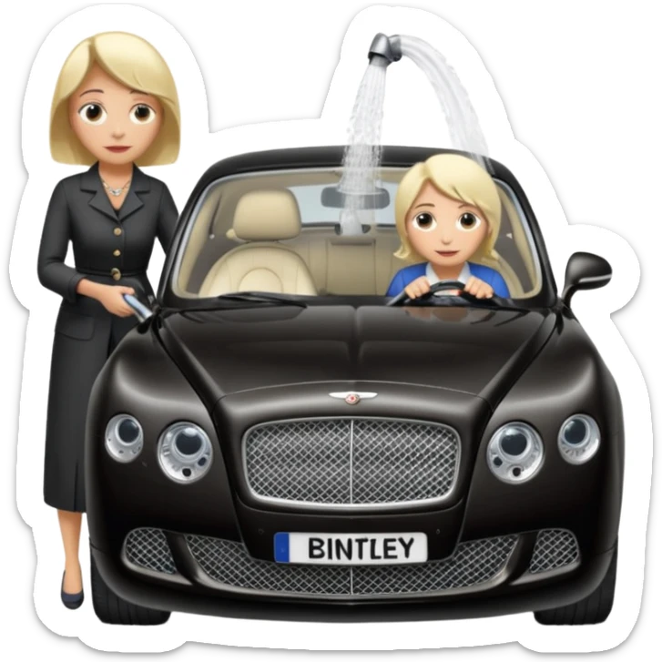 A old blond lady washing a black Bentley car. show the full car and the lady next to it. show the face smaller and the person standing beside it sticker