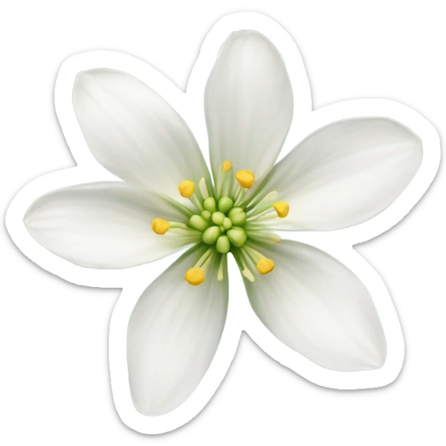 White flowers  sticker
