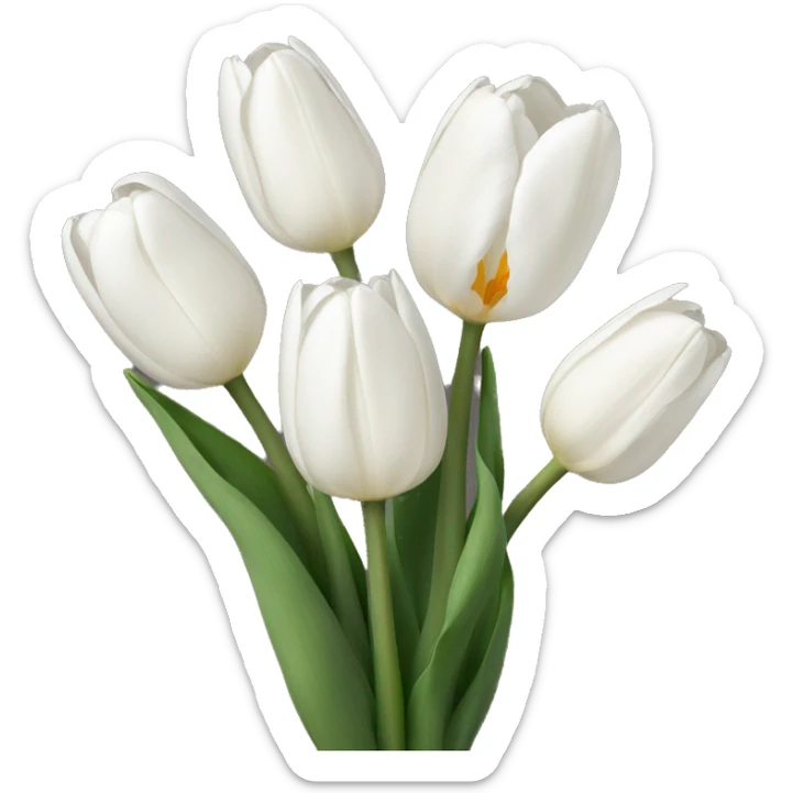 white tulips  sticker