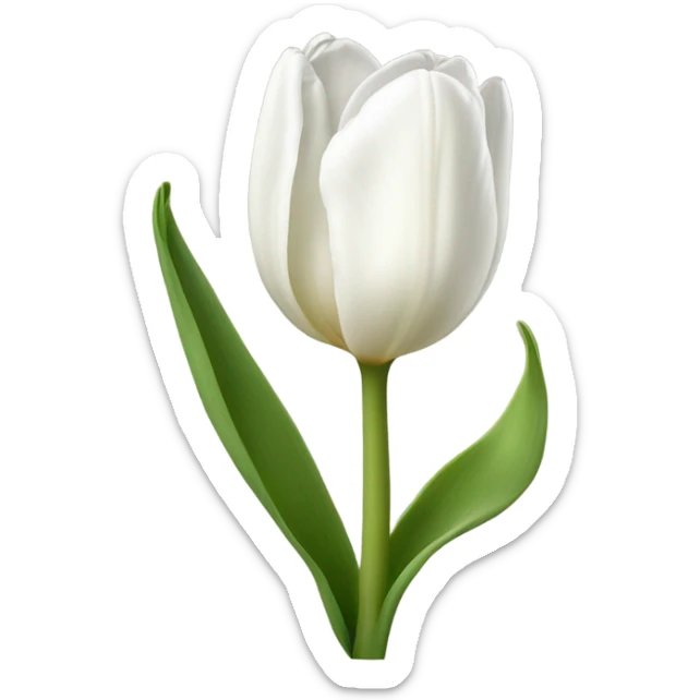 White tulip sticker