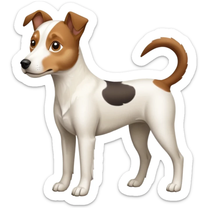 a full body large white parson russell looking dog the size of a kelpie with light brown flopped down ears and a light brown patch on one eye and a large snout sticker