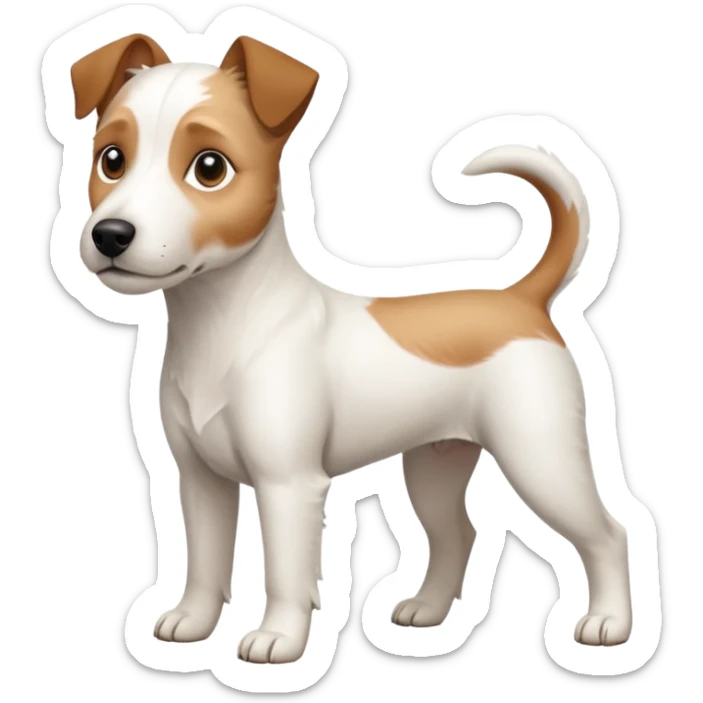 a full body white parson russell looking dog the size of a kelpie with light brown ears and a light brown patch on one eye and a large snout sticker