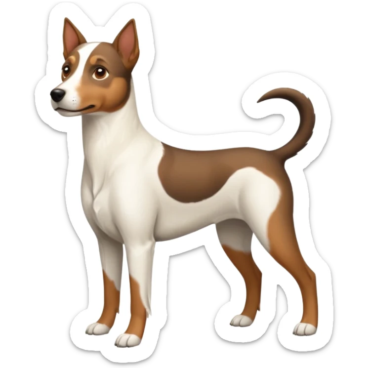 a full body large white parson russell looking dog the size of a kelpie with light brown ears and a light brown patch on one eye and a large snout sticker