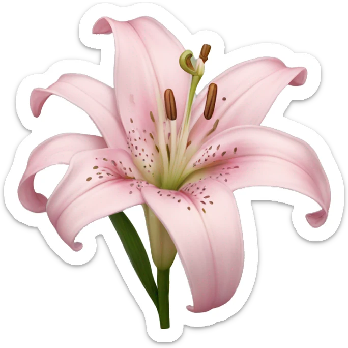 light pink lilium sticker