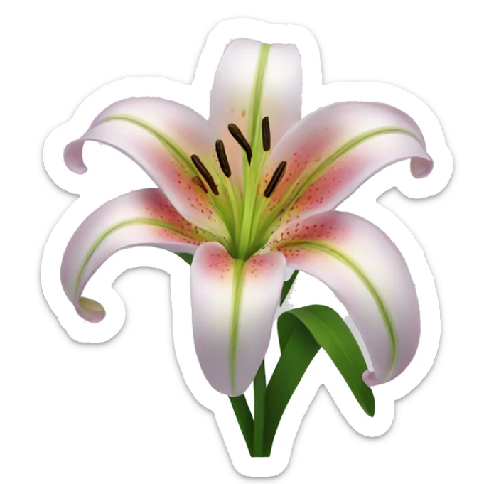 Lily flower sticker