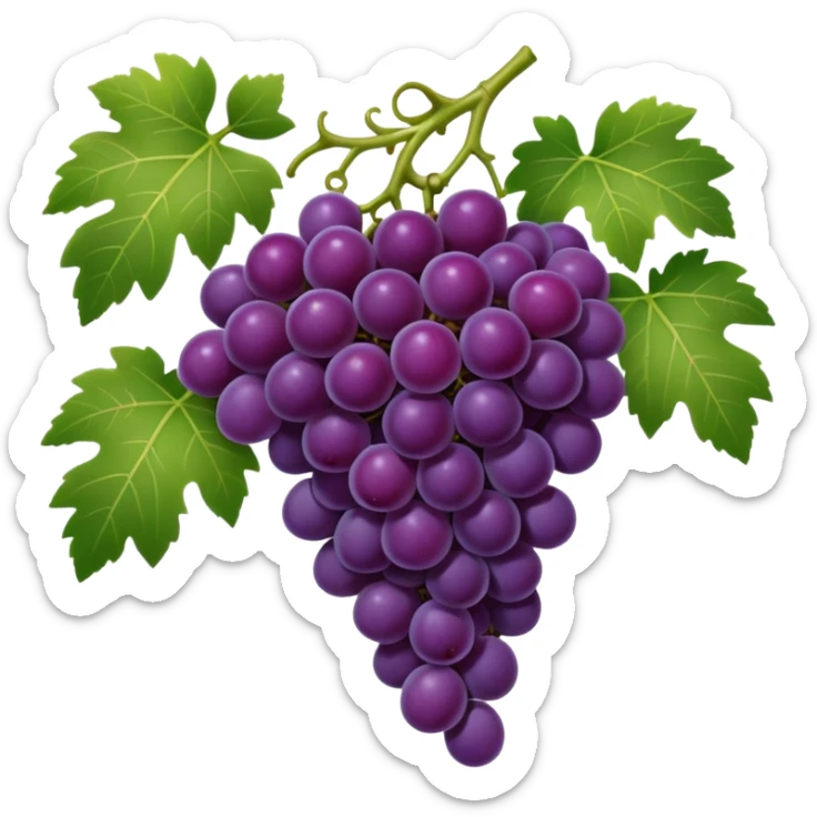An emoji of a cluster of grapes on a vine, representing winemaking in ancient Rome. sticker