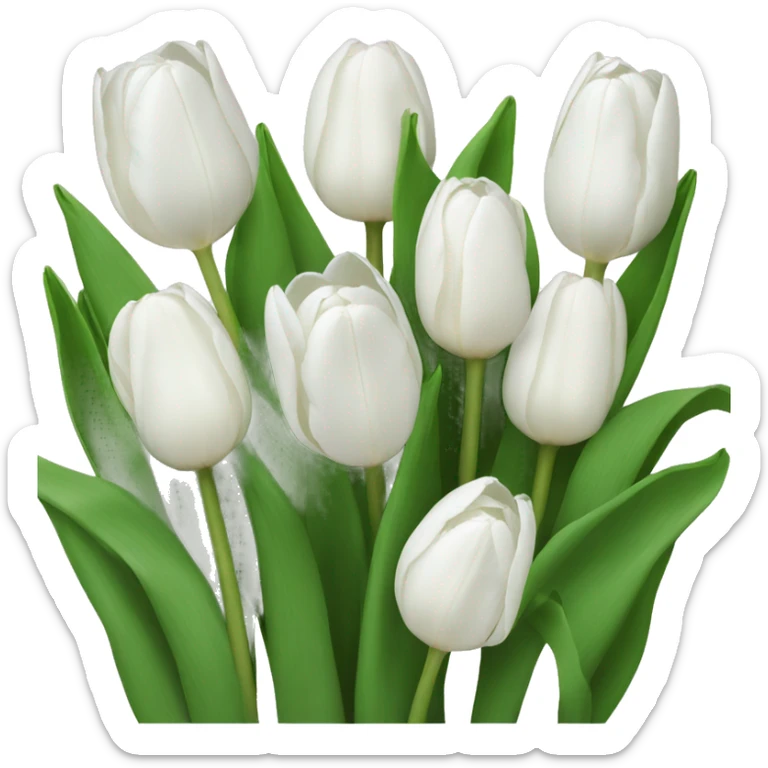 White tulips sticker