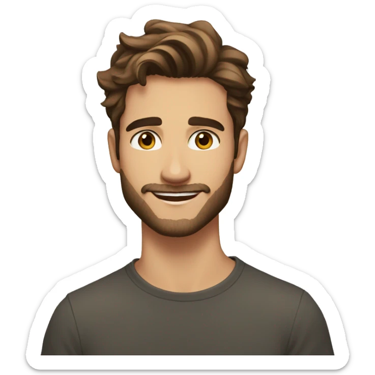 Handsome man, 22 years old, light facial hair, longish brown hair, hazel eyes, good eyebrows, beautiful smile sticker