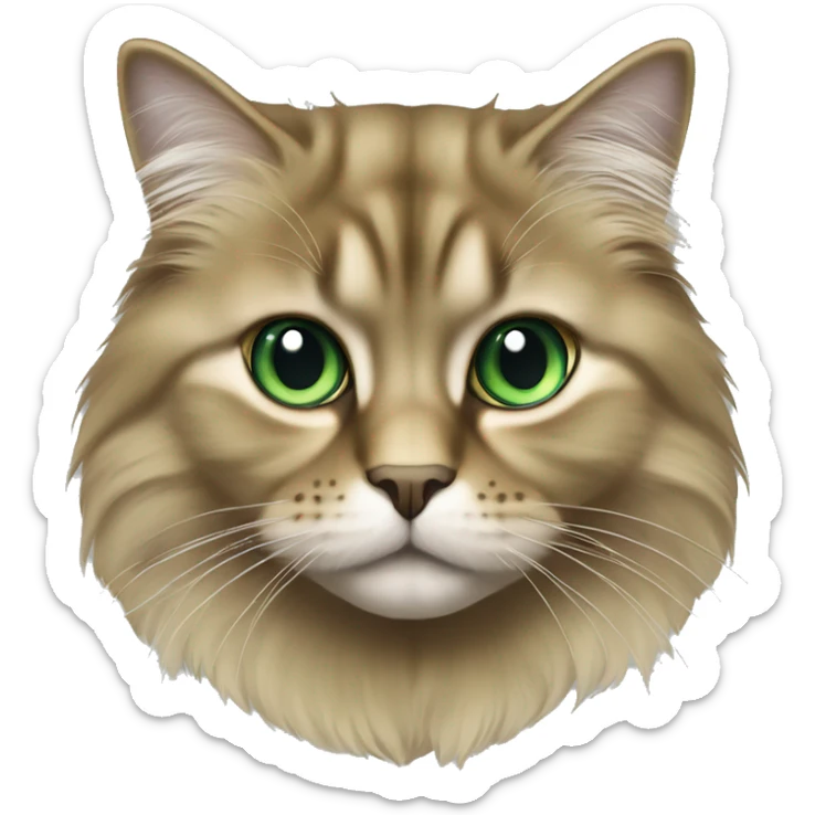 Full body British longhair golden shaded emerald green eyes with black tip tail sticker