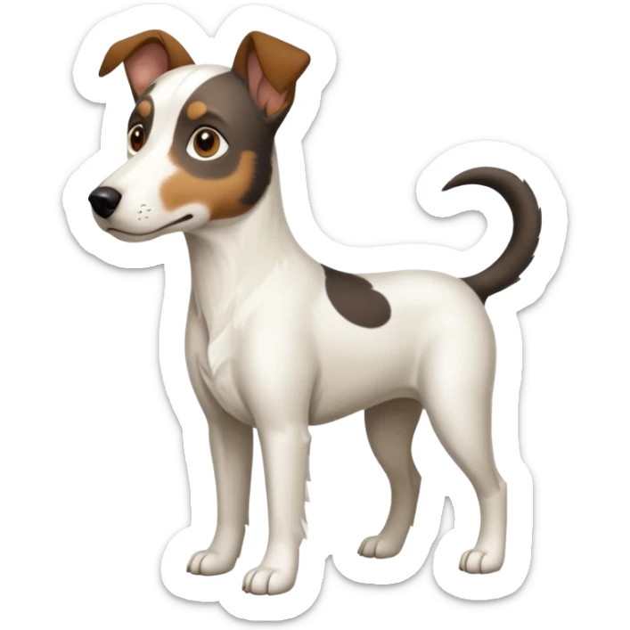 a full body large white floppy eared parson russell looking dog the size of a kelpie with light brown ears and a light brown patch on one eye and a large snout sticker