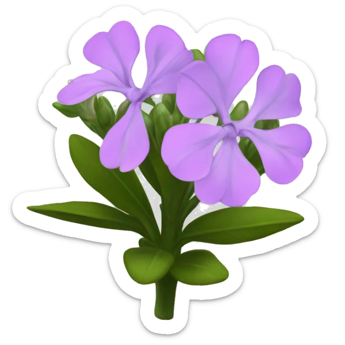 phlox black sticker