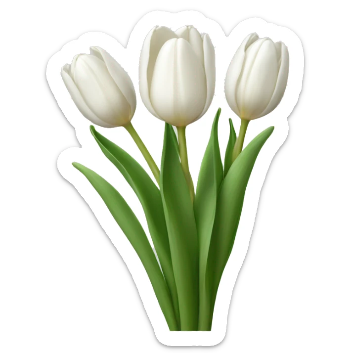 white tulip bouquet  sticker