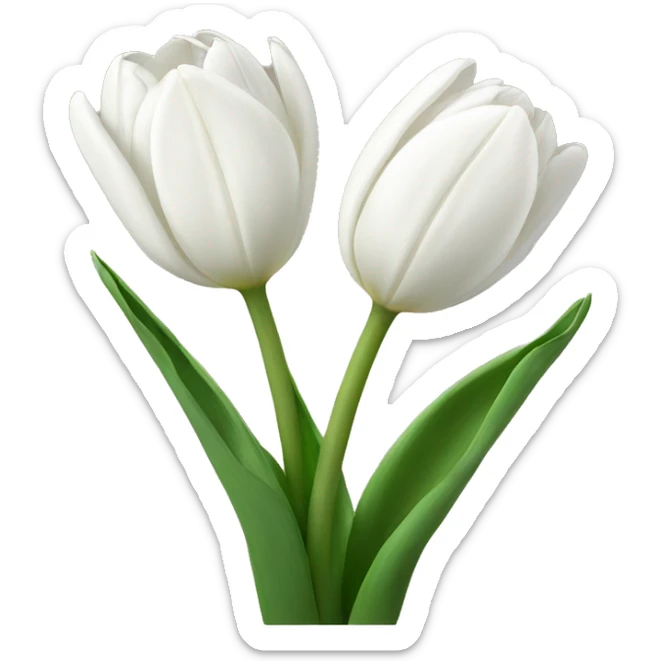 white tulips  sticker