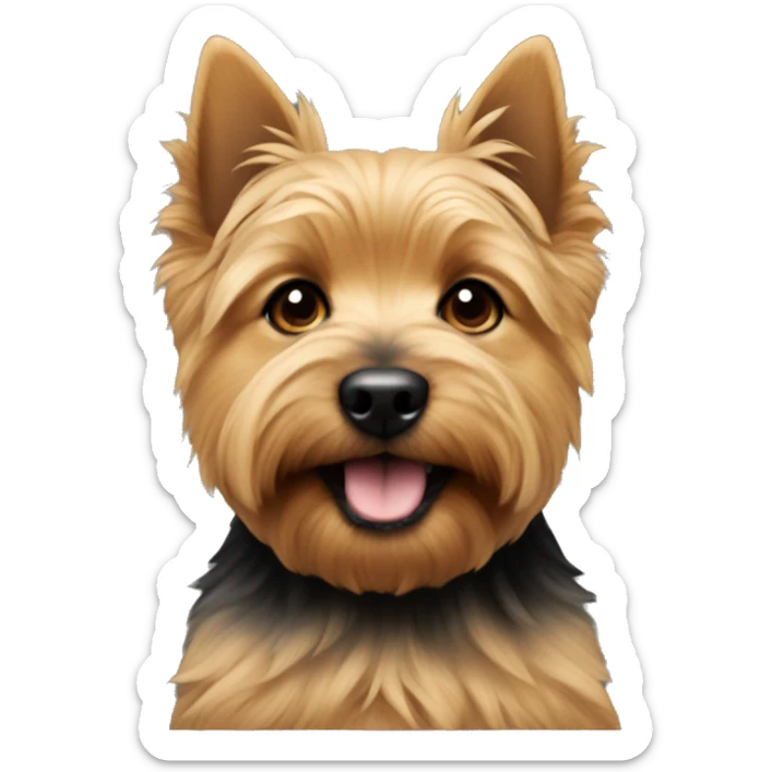 Portrait of a puppy of Norwich terrier Black and Tan colour  sticker