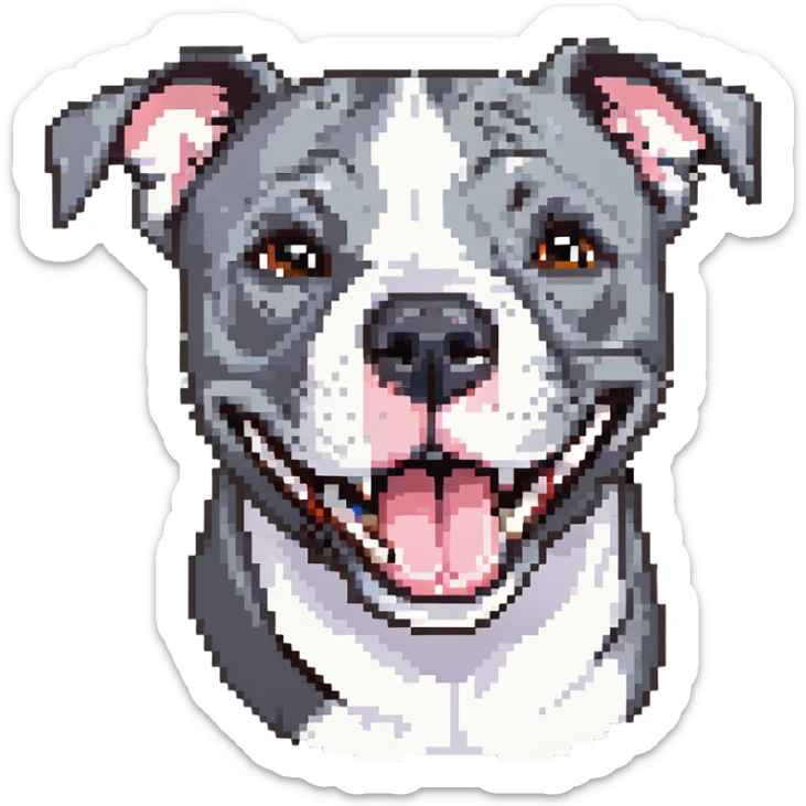 round circle puppy head full grey bleu staffy, big open mouth, big tongue out, stupid expression sticker