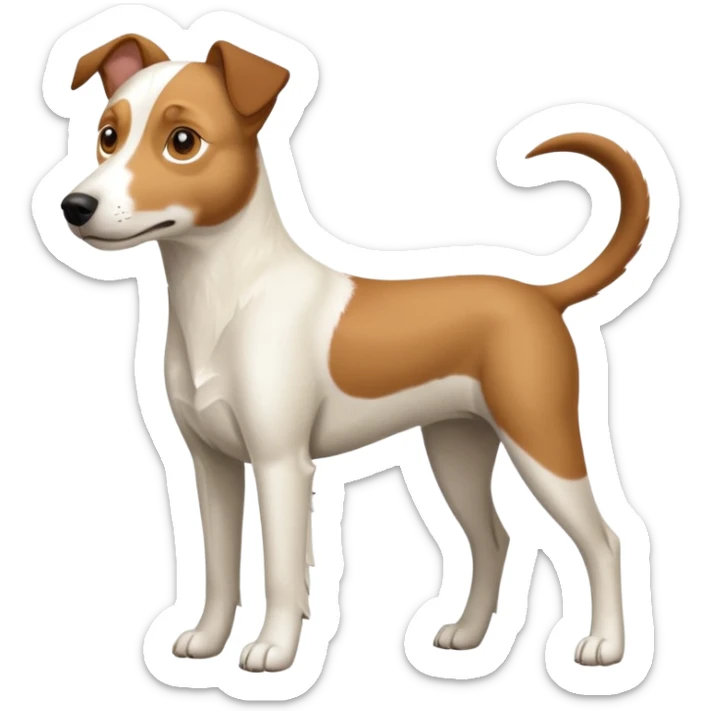 a full body large white parson russell looking dog the size of a kelpie with light brown flapped down ears and a light brown patch on one eye and a large snout sticker