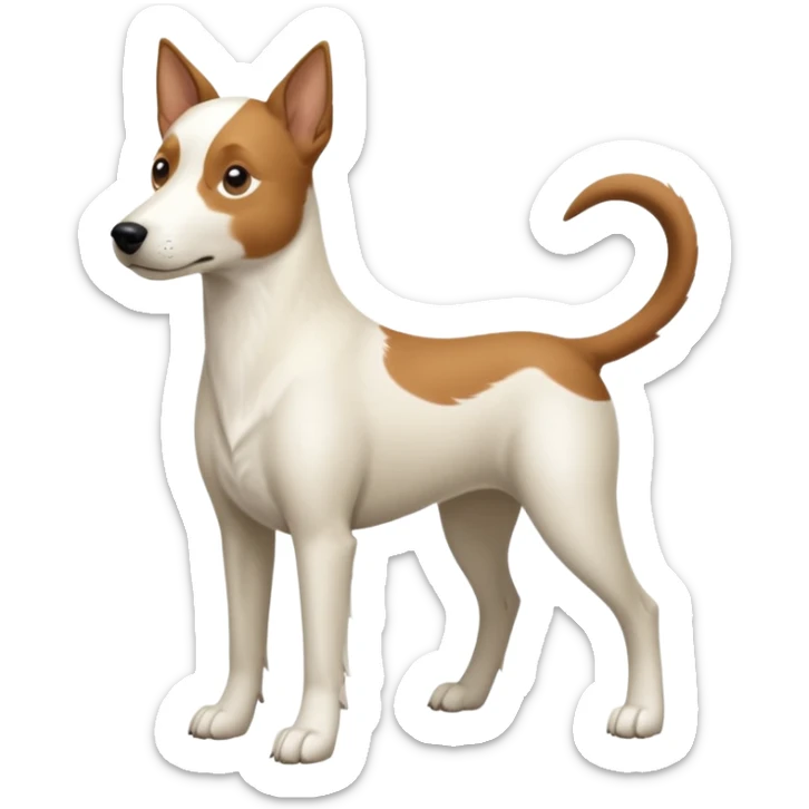 a full body white parsel russell looking dog the size of a kelpie with light brown ears and a light brown patch on one eye and a large snout sticker