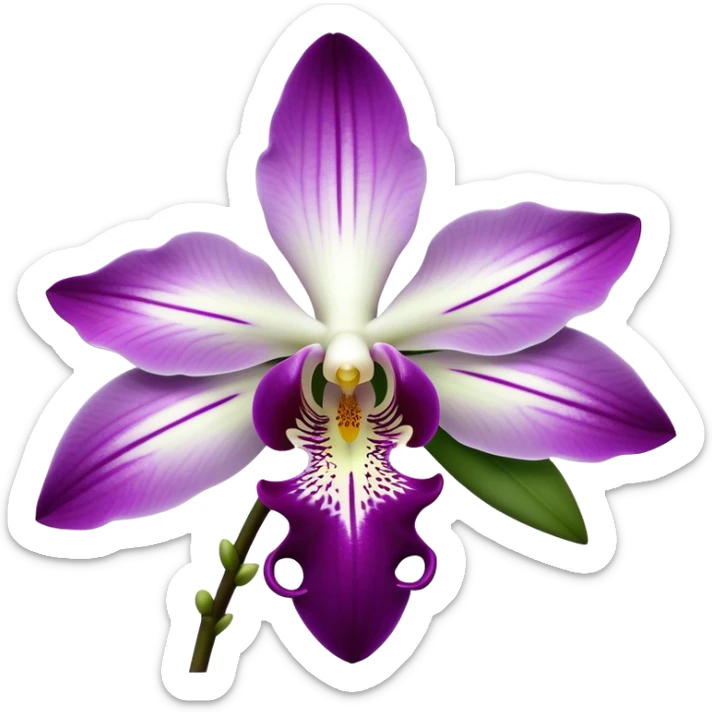 Cinematic Realistic Orchid Emoji, Exotic and elegant, with intricate, velvety petals in deep purple and white, forming a delicate and symmetrical blossom. The slender green stem holds the flower high, while surrounding leaves add lush contrast. Soft glowing outline, capturing the essence of rare beauty and sophistication in a captivating orchid. sticker