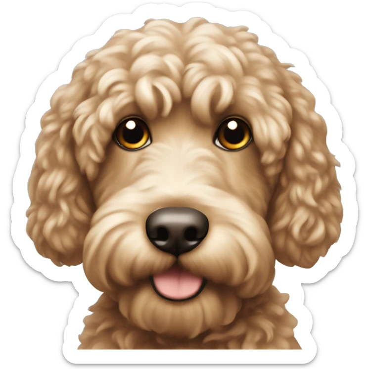 cockapoo  sticker